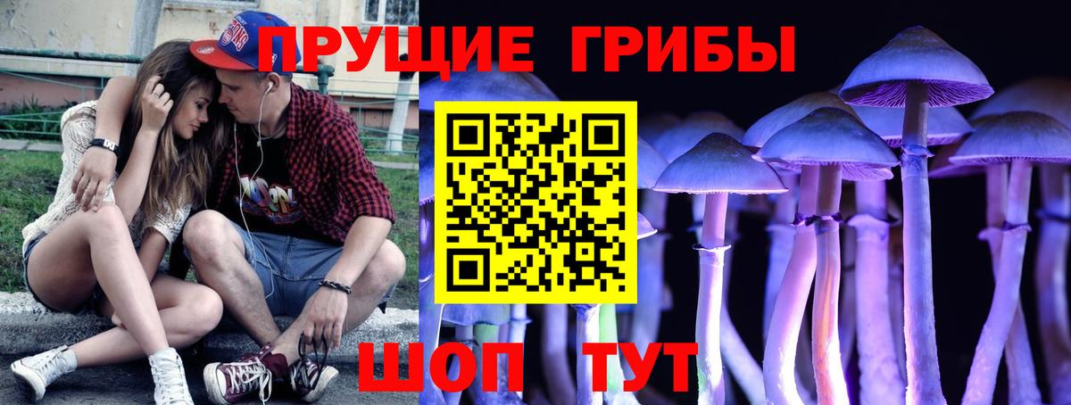 Кумертау  Галлюциногенные грибы мухоморы  Вход с VPN  Галлюциногенные грибы прущие грибы 